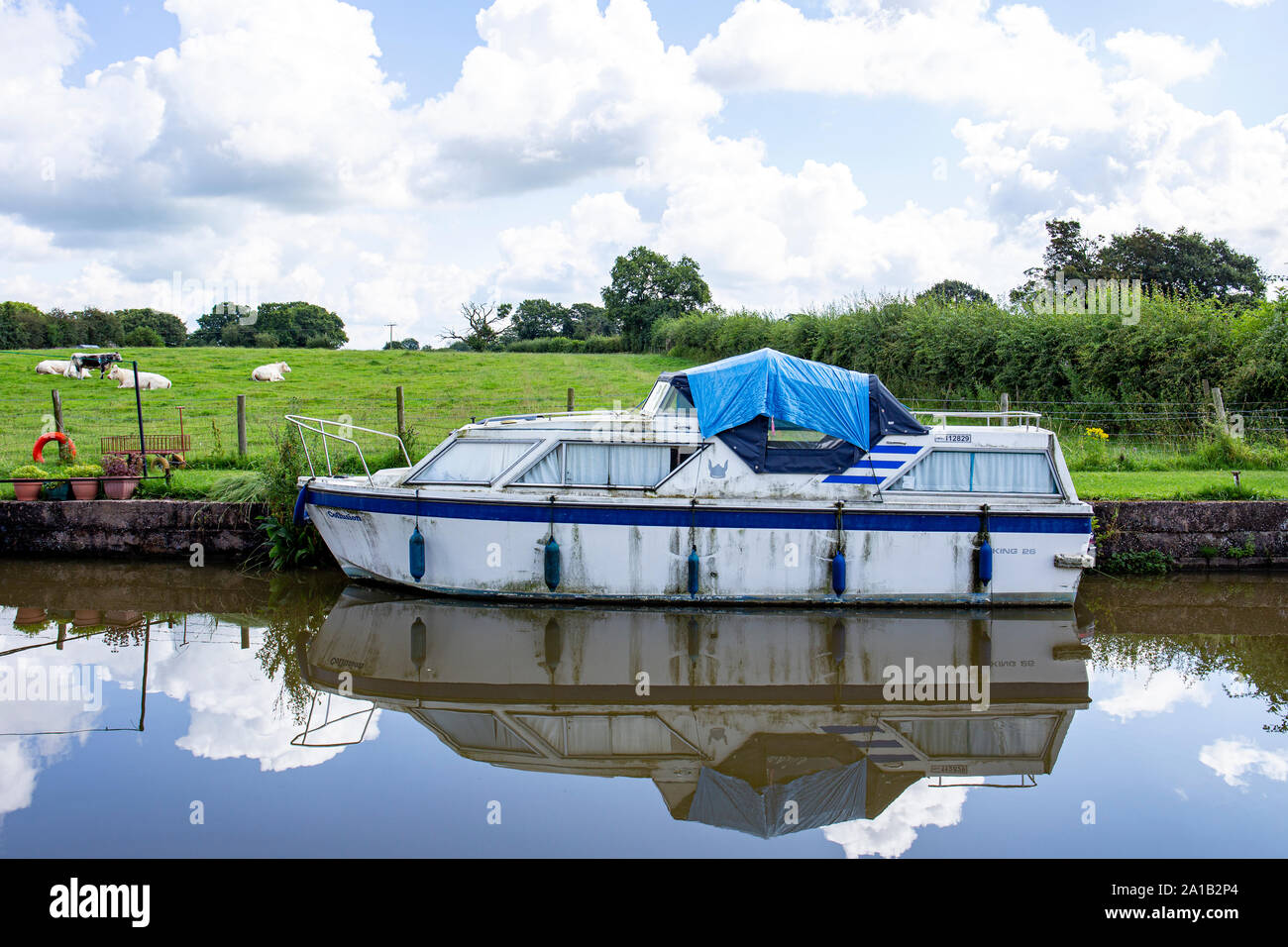 Neglected or derelict pleasure boat on the Trent and Mersey canal in Cheshire UK Stock Photo