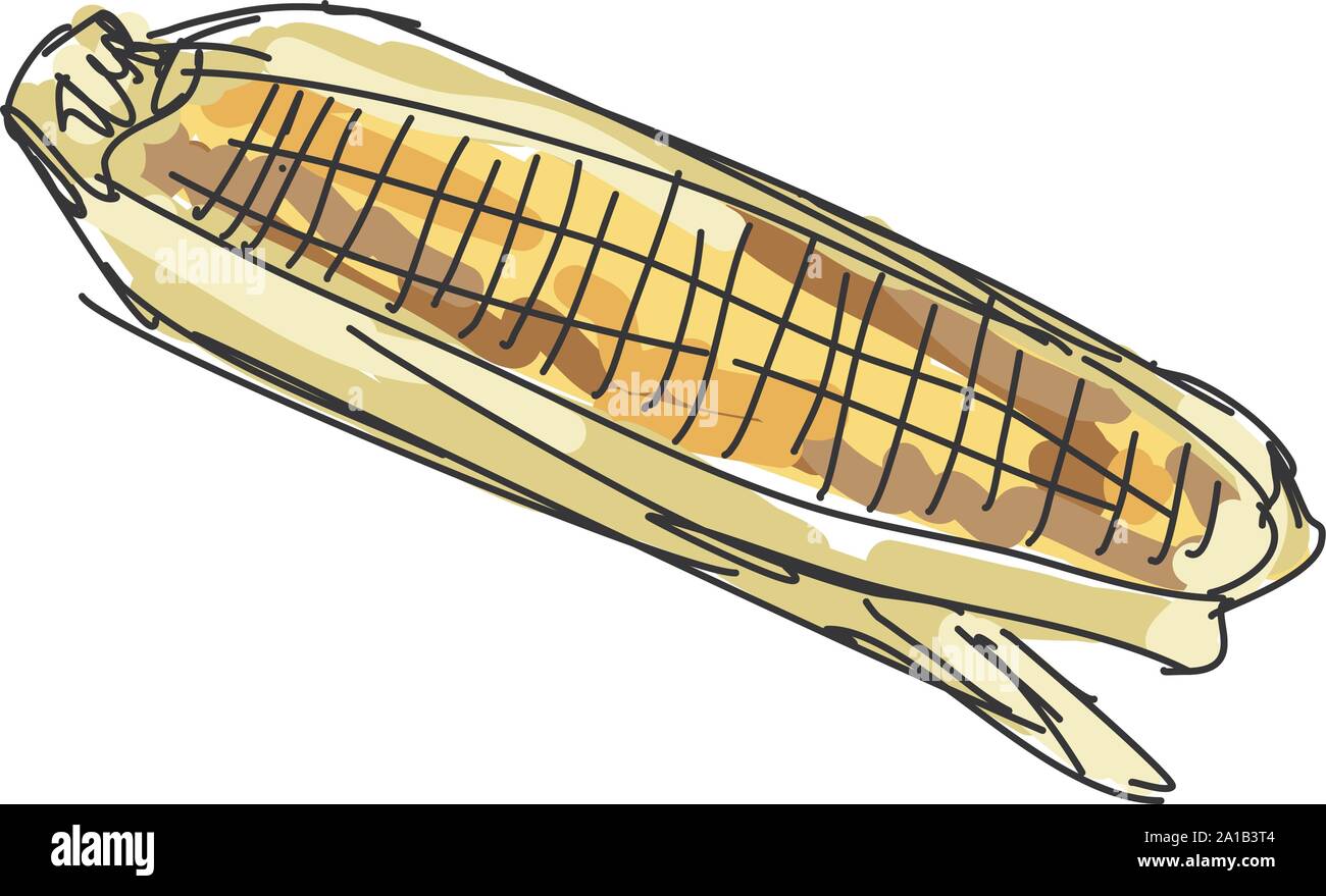 Corn drawing, illustration, vector on white background. Stock Vector