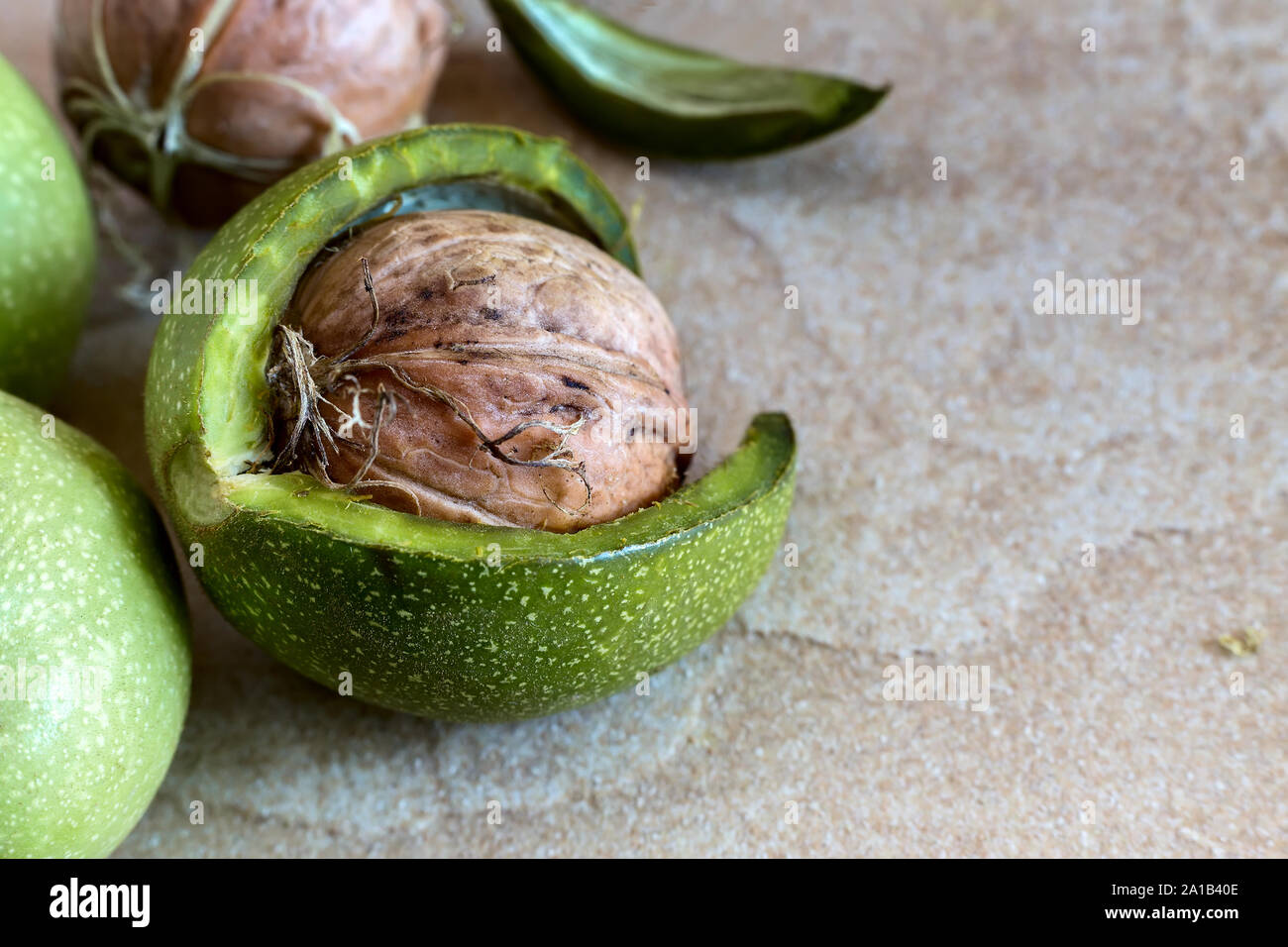 Walnuts in a green shell on the table Stock Photo