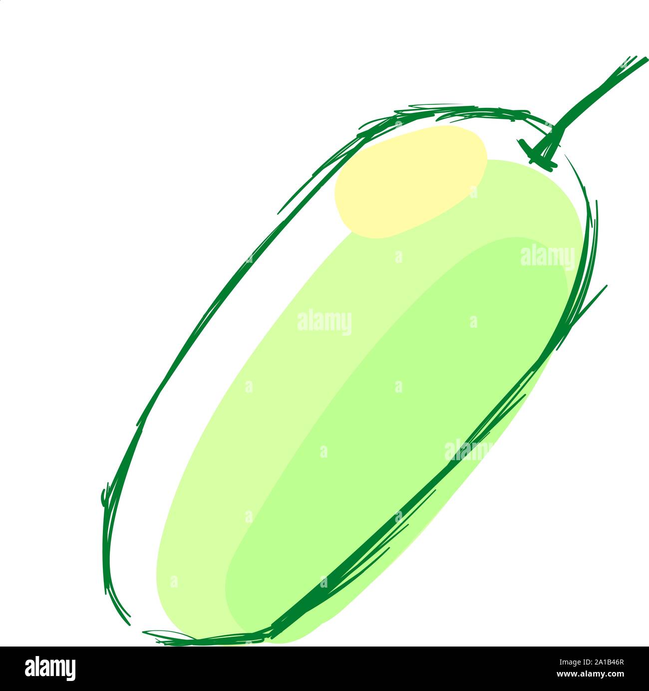 Green curuba, illustration, vector on white background. Stock Vector