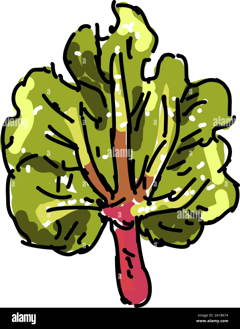 Rhubarb, illustration, vector on white background. Stock Vector