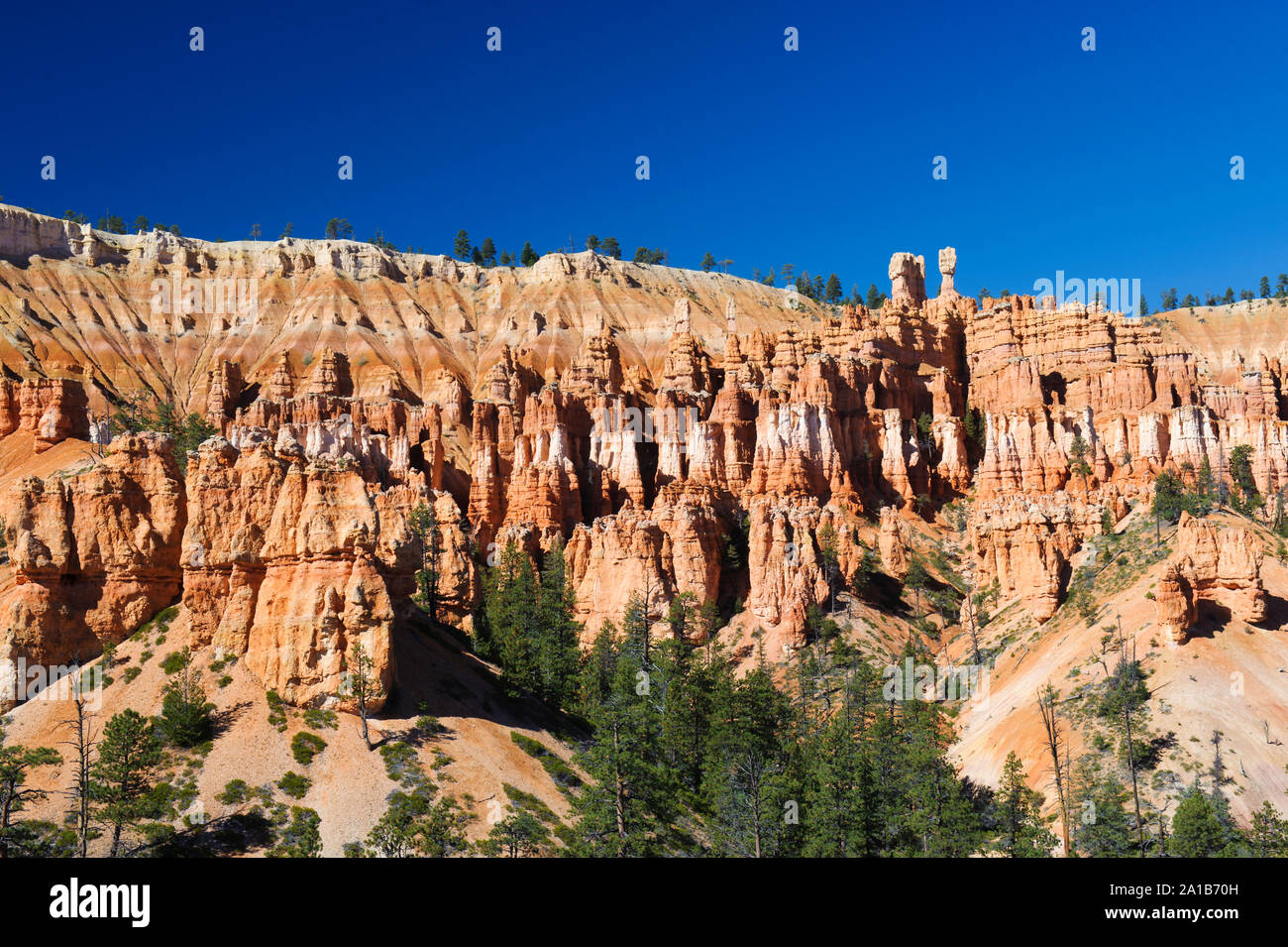 Mesmerizing landscape on a beautiful sunny day, Bryce Canyon National Park, Utah, USA. Stock Photo