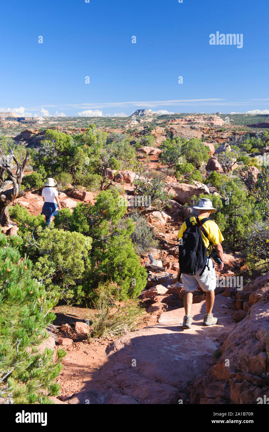 Hikers on the Upheaval Dome Overllook trail, Utah. Canyonlands National Park, Utah, USA. Stock Photo