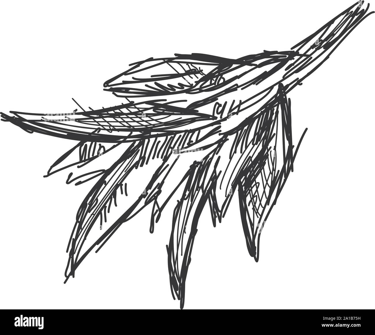 Sage drawing, illustration, vector on white background Stock Vector ...