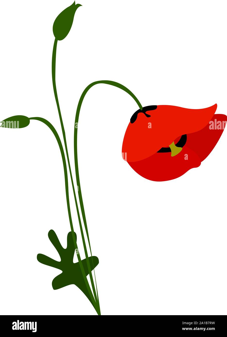Poppy flower, illustration, vector on white background. Stock Vector