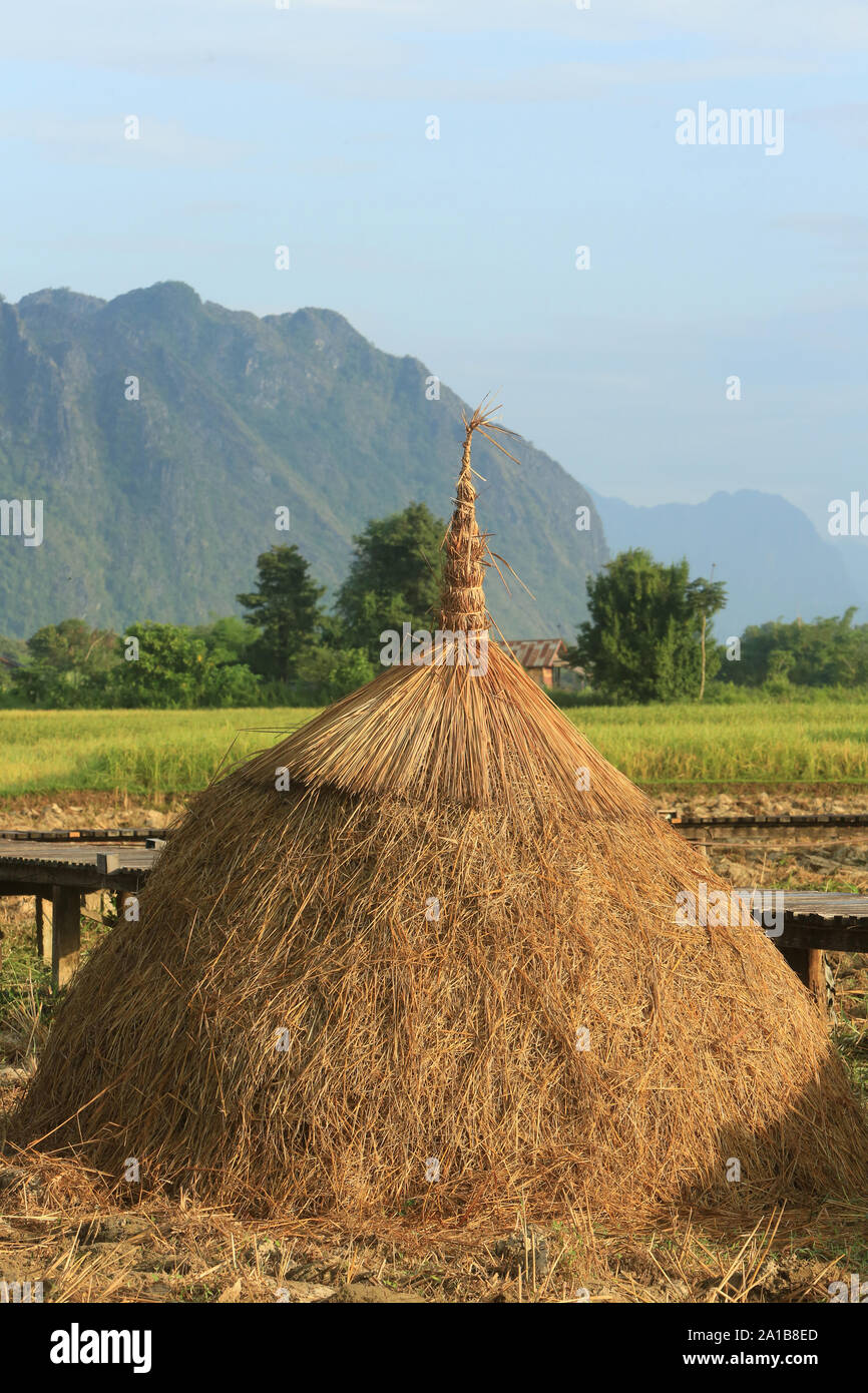 Rice fields with stunning mountain back drop. Vang Vieng. Laos. Asia. Stock Photo