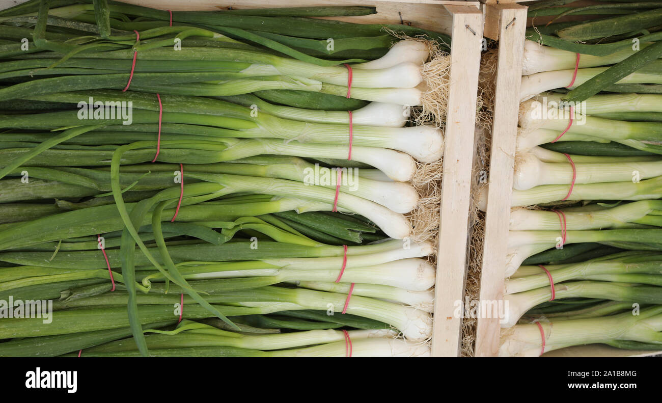 Onions in boxes hi-res stock photography and images - Alamy