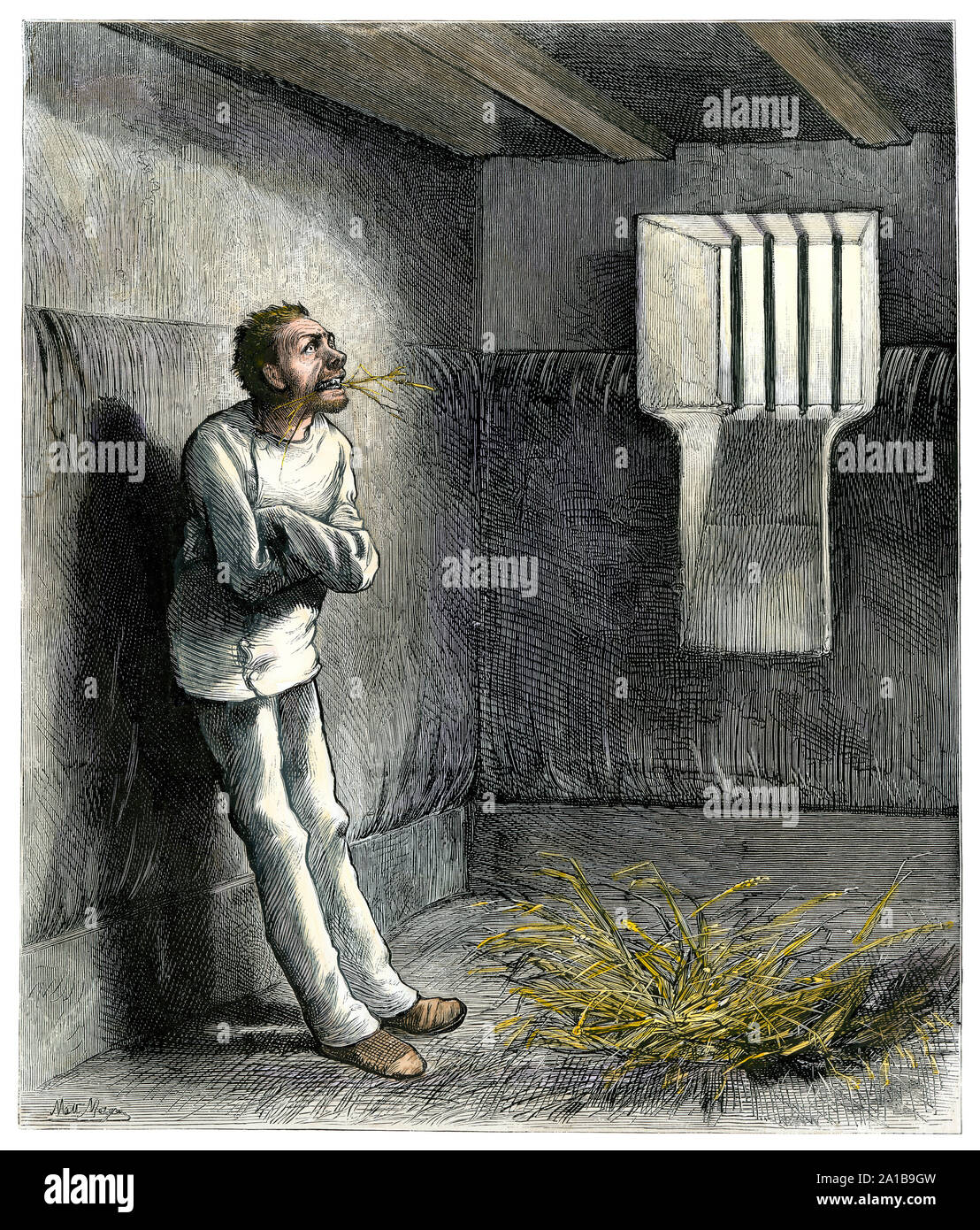Delerium tremens patient in the Inebriates' Ward on Blackwell's Island, New York City, 1870s. Hand-colored woodcut Stock Photo