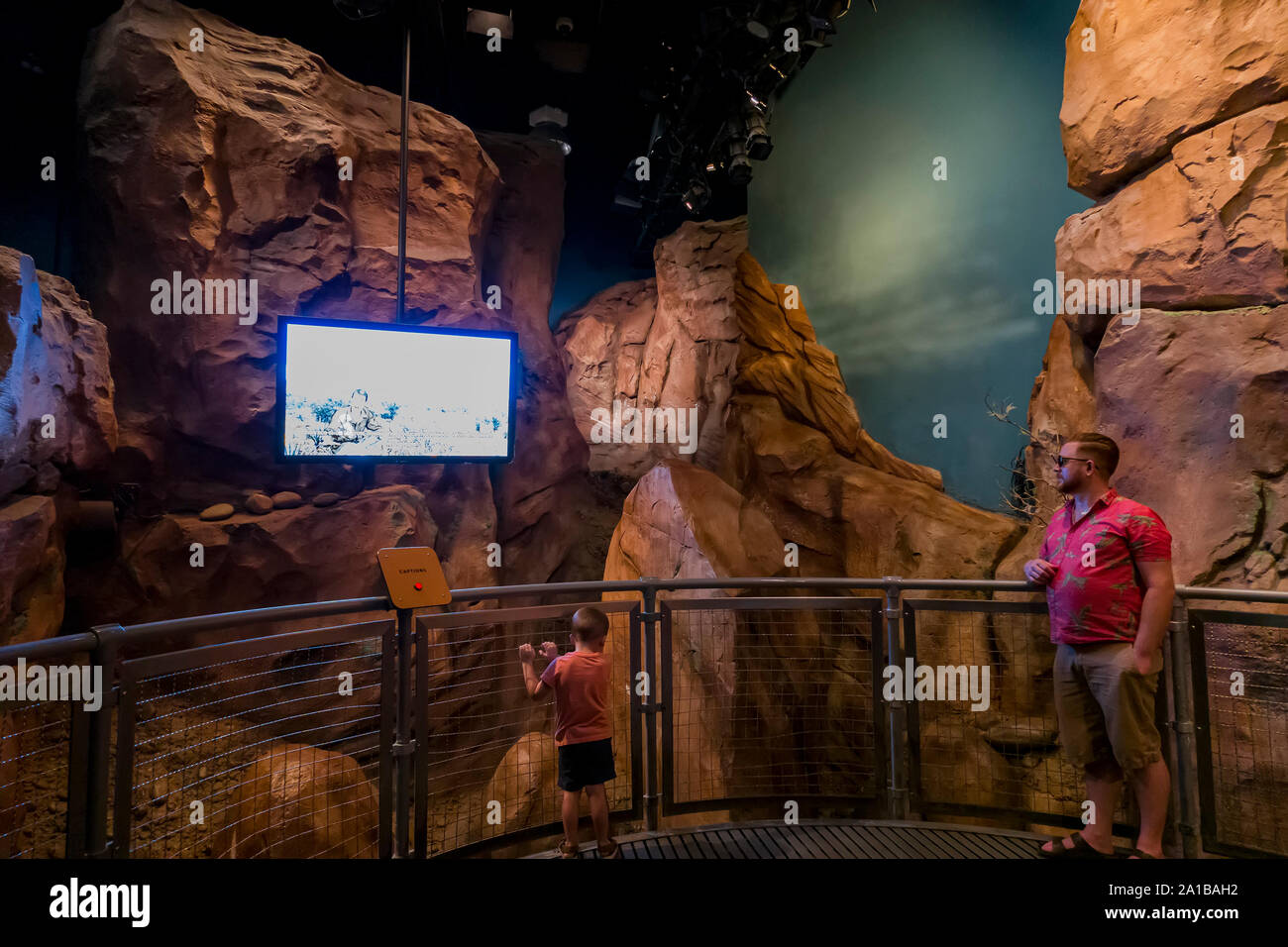 Las Vegas, SEP 7 Interior view of the Nevada State Museum in Springs