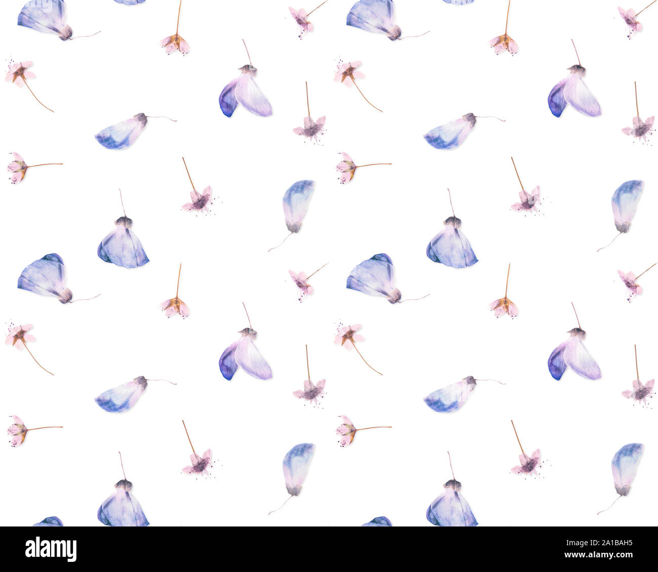 Pressed and dried flowers pattern Stock Photo