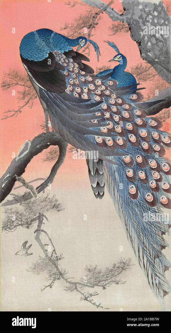 Ohara koson peacock hi-res stock photography and images - Alamy