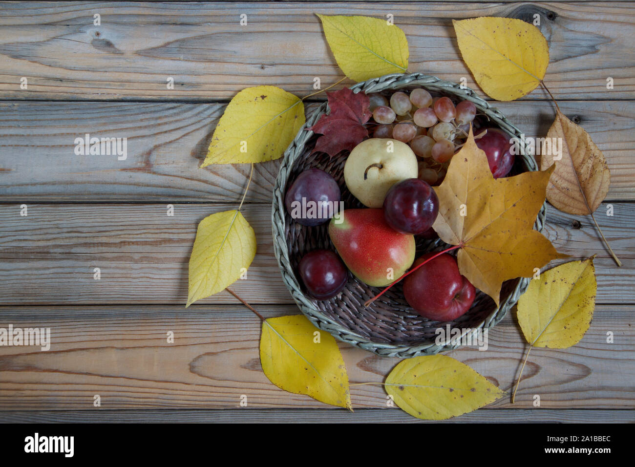 Autumn still life with various fruits are lying in a wicker basket ...