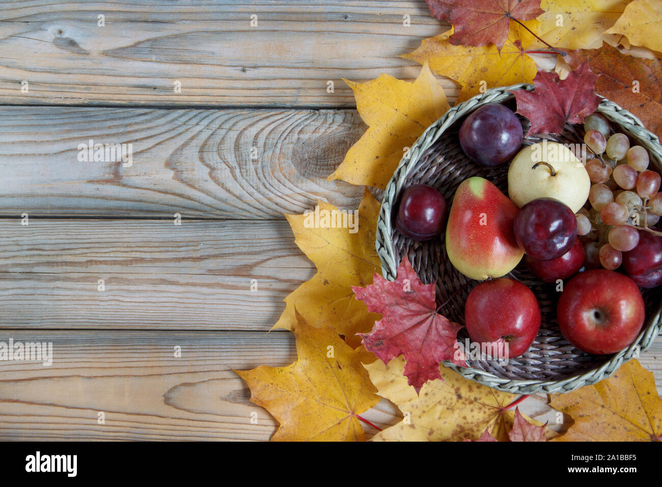 Autumn still life with various fruits are lying in a wicker basket ...