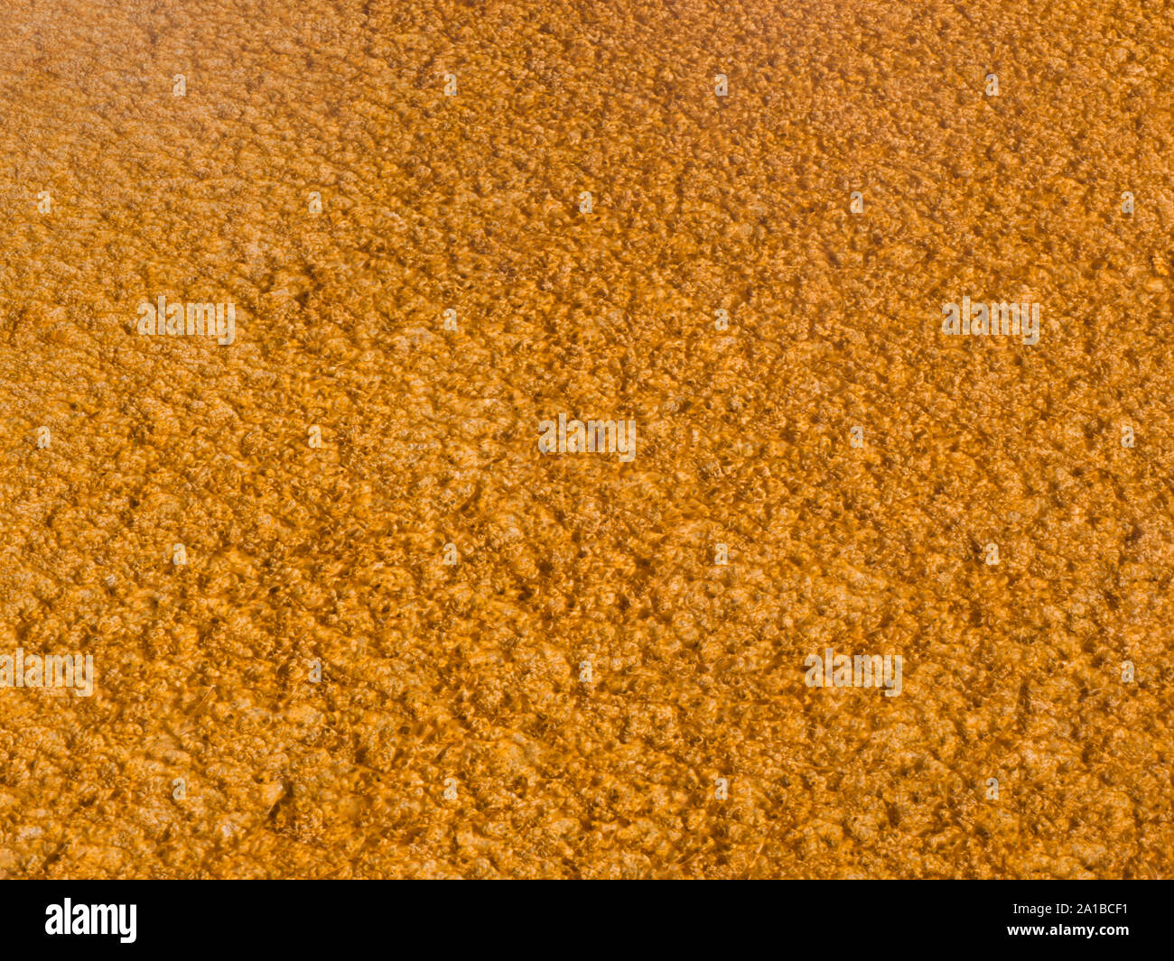 Close-up of thermophilic algae colonies or bacterial mats, Grand Prismatic Spring, Midway Geyser Basin, Yellowstone National Park, Wyoming, USA Stock Photo