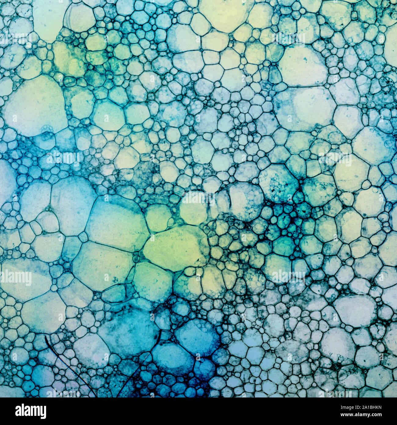 Watercolor abstract foam art background Stock Photo Alamy