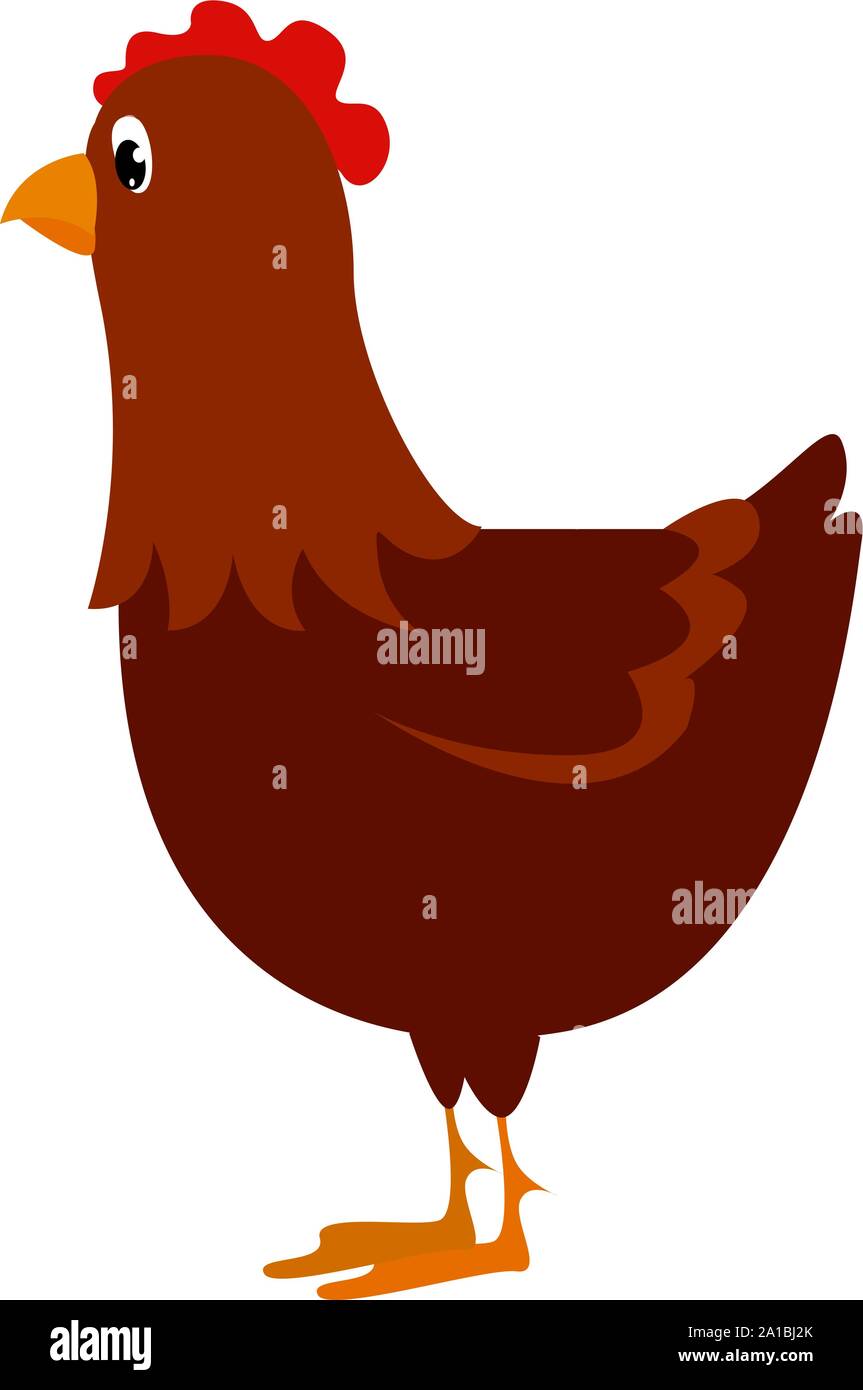 Red hen, illustration, vector on white background Stock Vector Image