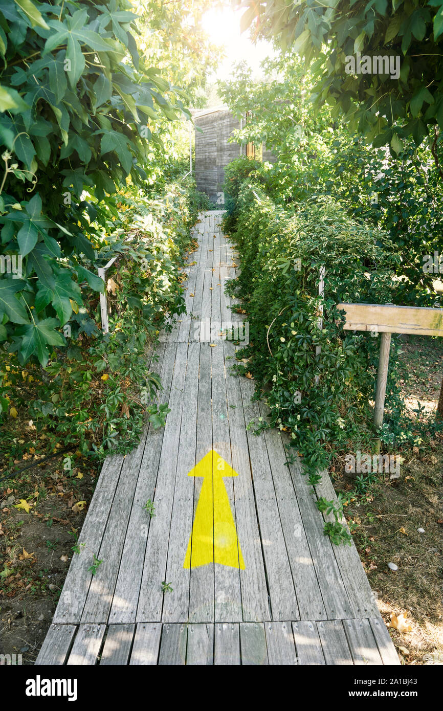 Yellow Arrow Painted on Wooden Planks. Direction or guidance concept Stock Photo