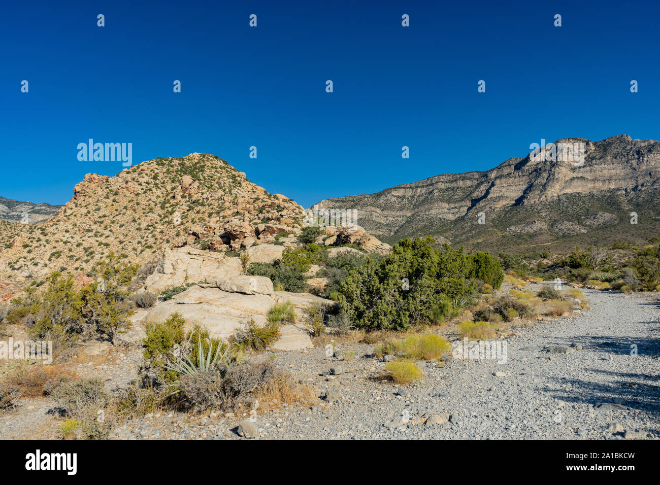 Beautiful landscape around Red Rock Canyon at Nevada Stock Photo Alamy