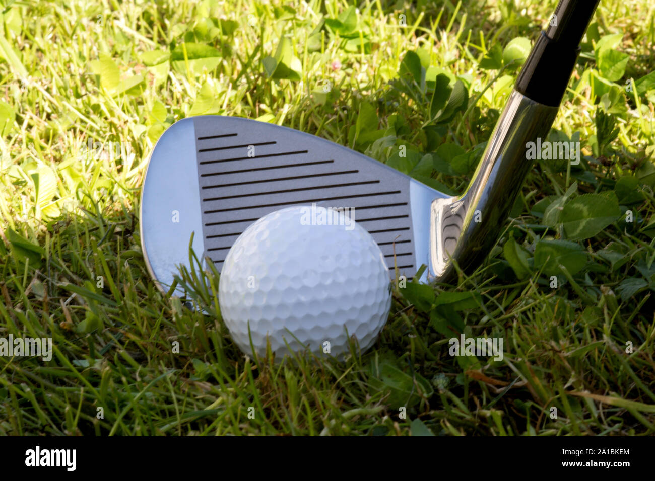 Iron golf club and golf ball in the rough golf course grass Stock Photo