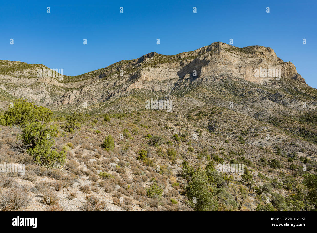 Beautiful landscape around Red Rock Canyon at Nevada Stock Photo Alamy