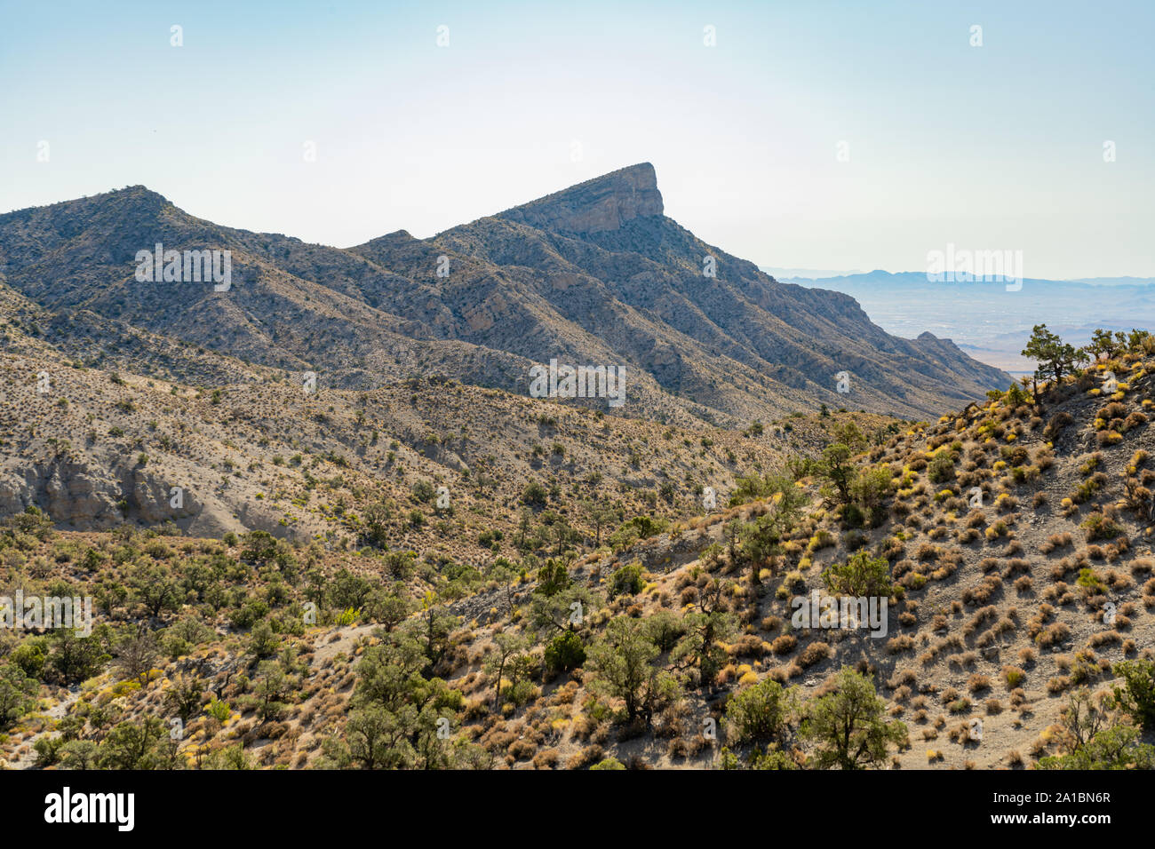 Keystone Thrust in Red Rock Canyon at Nevada Stock Photo - Alamy