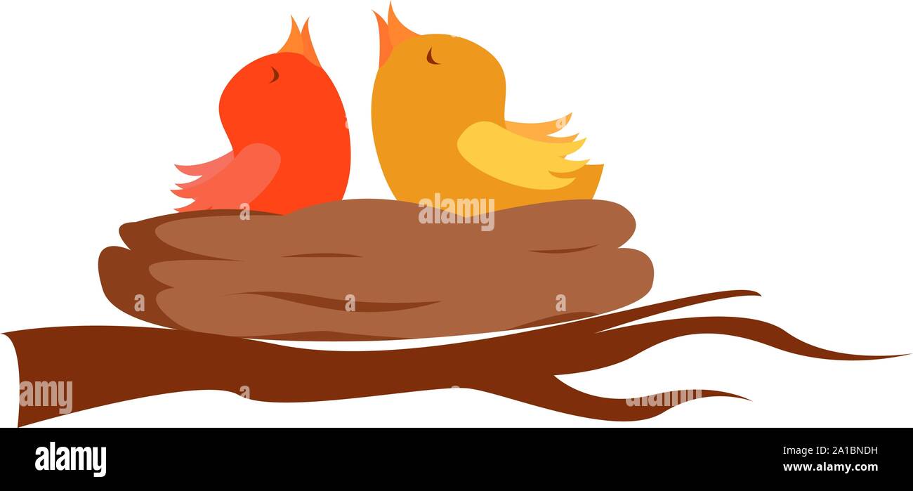 Chicks in nest, illustration, vector on white background. Stock Vector