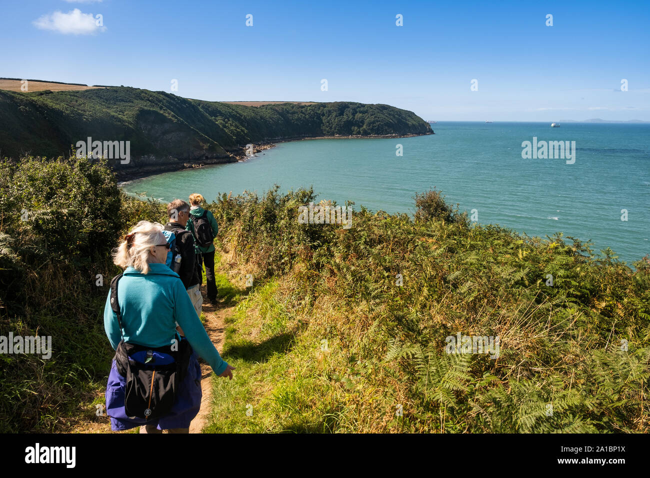 People walking on the Pembrokeshire Coastal Path near Little Haven, on the coast of St Bride's Bay, Pembrokeshire National Park, South West Wales UK Stock Photo