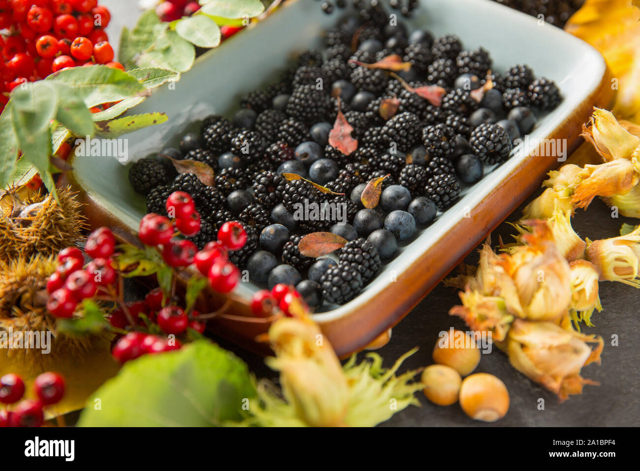 Wild fruits hires stock photography and images Alamy