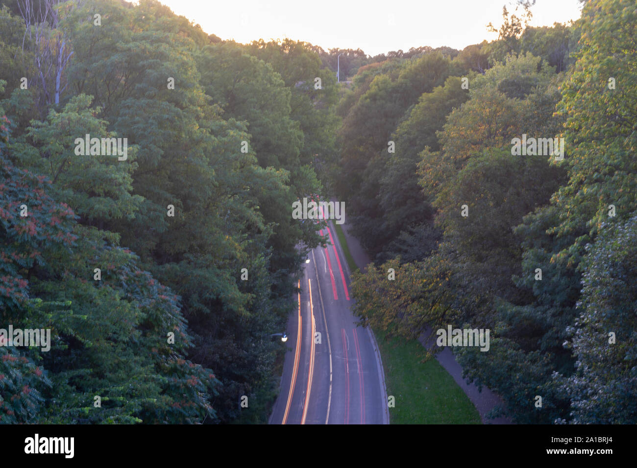 The leaves are slowly turning different colors. The fall is approaching. Stock Photo