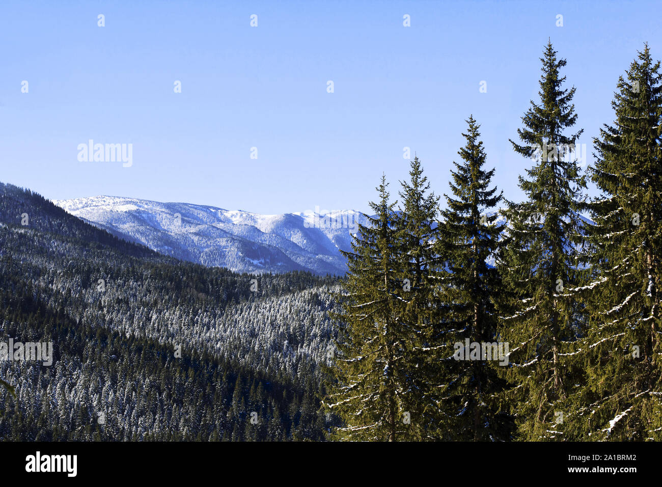 Mountain and forest scene hi-res stock photography and images - Alamy