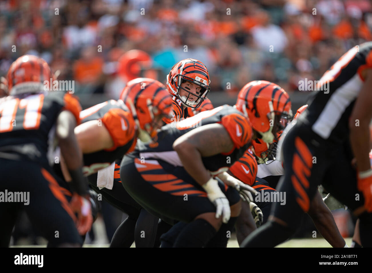 Cincinnati, OH, USA. 15th Sep, 2019. Cincinnati Bengals quarterback Andy Dalton (14) during NFL football game action between the San Francisco 49ers and the Cincinnati Bengals at Paul Brown Stadium on September 15, 2019 in Cincinnati, OH. Adam Lacy/CSM/Alamy Live News Stock Photo