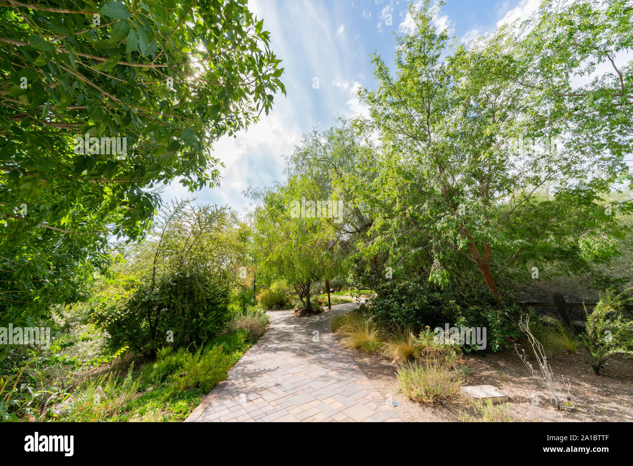 Botanical Garden of Springs Preserve at Las Vegas, Nevada Stock Photo