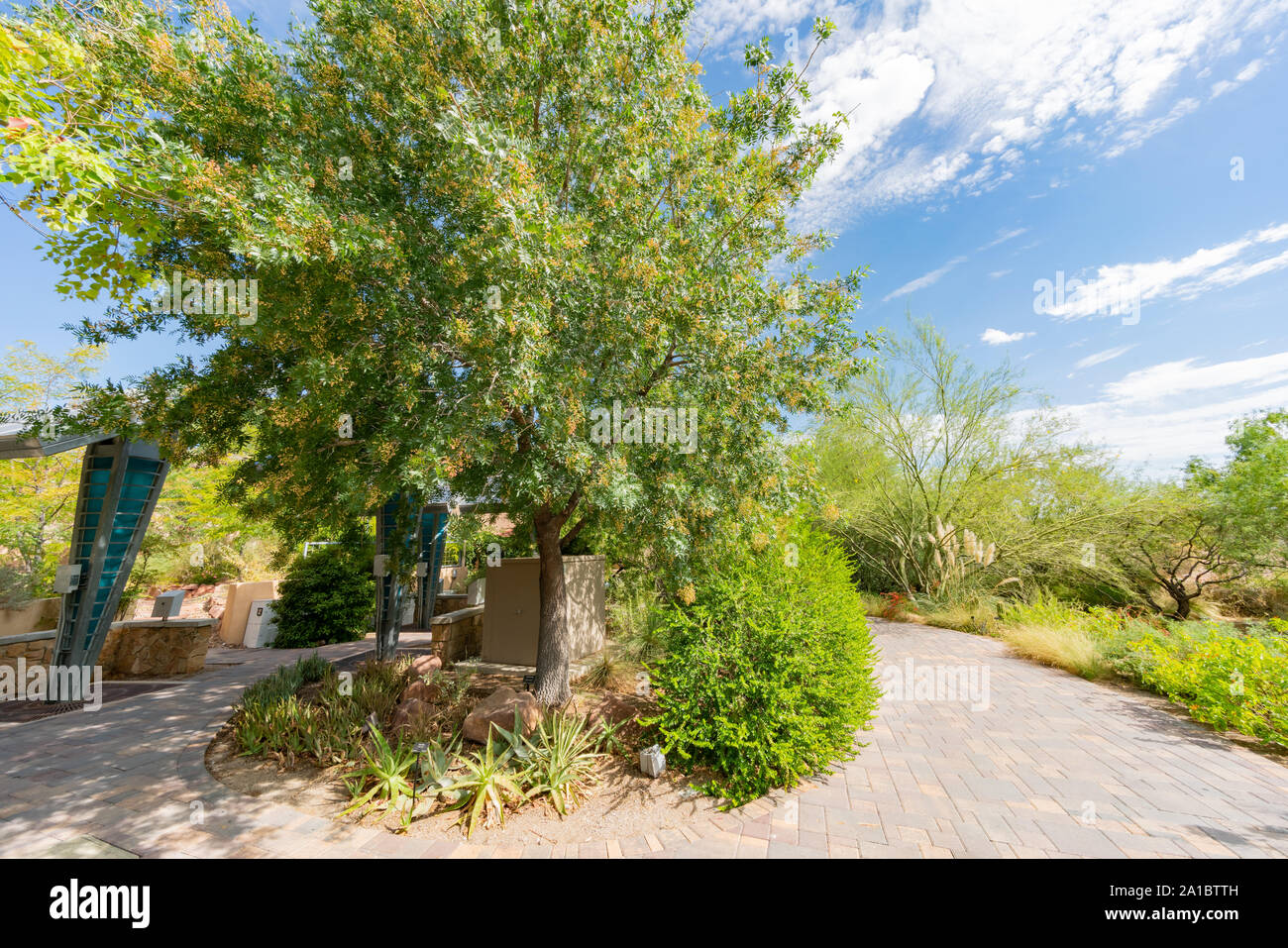 Botanical Garden of Springs Preserve at Las Vegas, Nevada Stock Photo