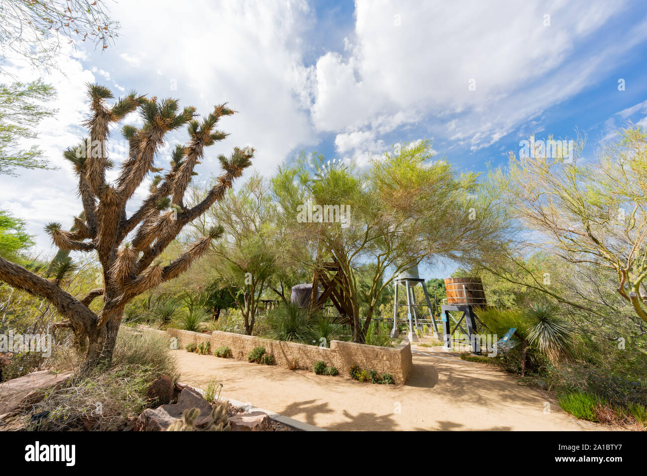 Botanical Garden of Springs Preserve at Las Vegas, Nevada Stock Photo