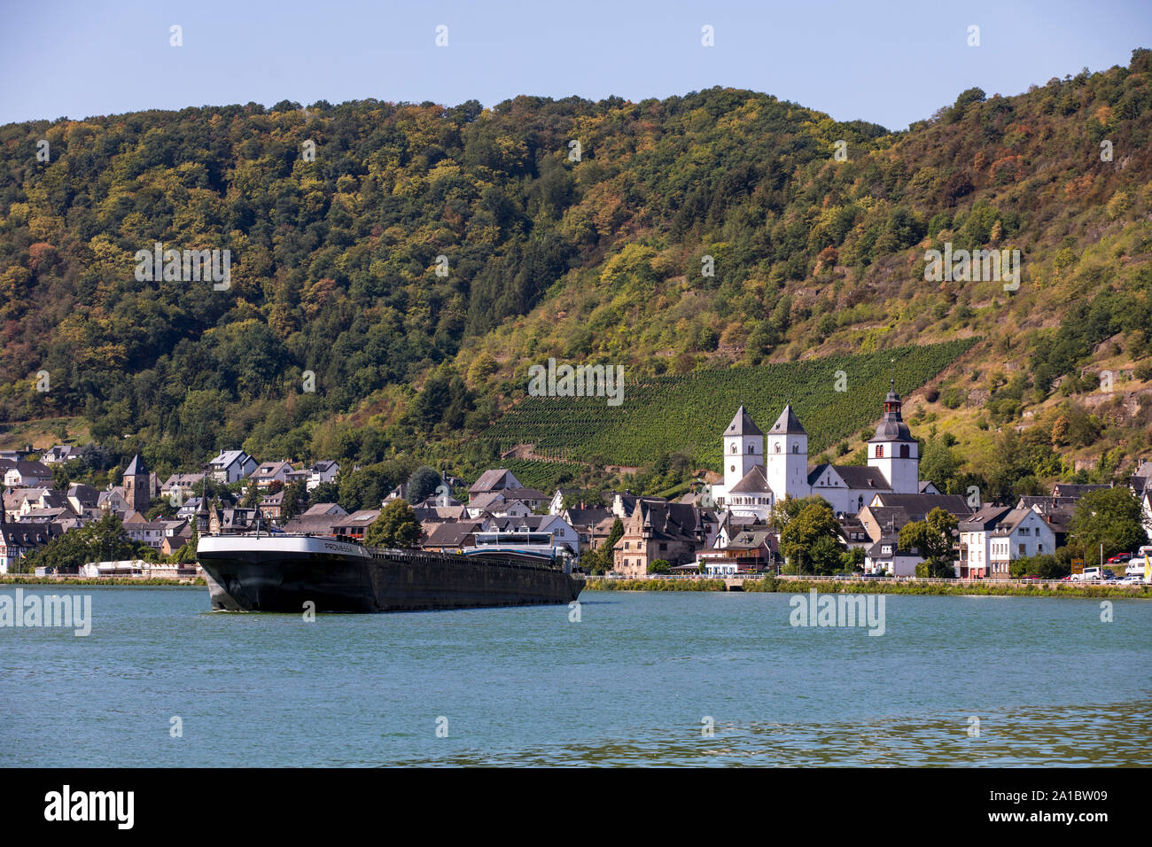 The place Treis-Kaden, district Kaden at the Mosel, Lower Moselle, , church St. Castor, Stock Photo