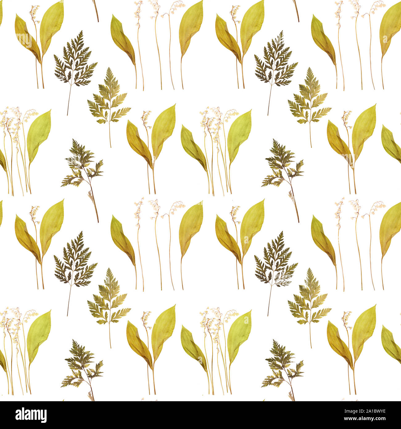 Lilly of the valley drawing hi-res stock photography and images - Alamy