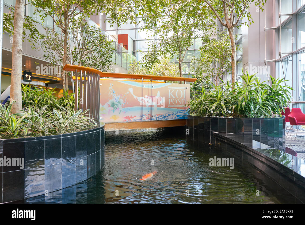 SINGAPORE CIRCA APRIL, 2019 Koi Pond in Singapore Changi Airport