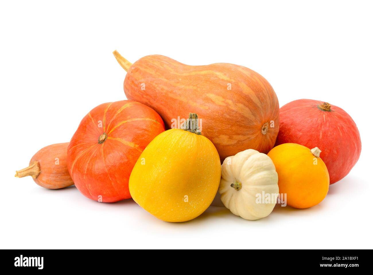 ripe pumpkins isolated on white background Stock Photo - Alamy