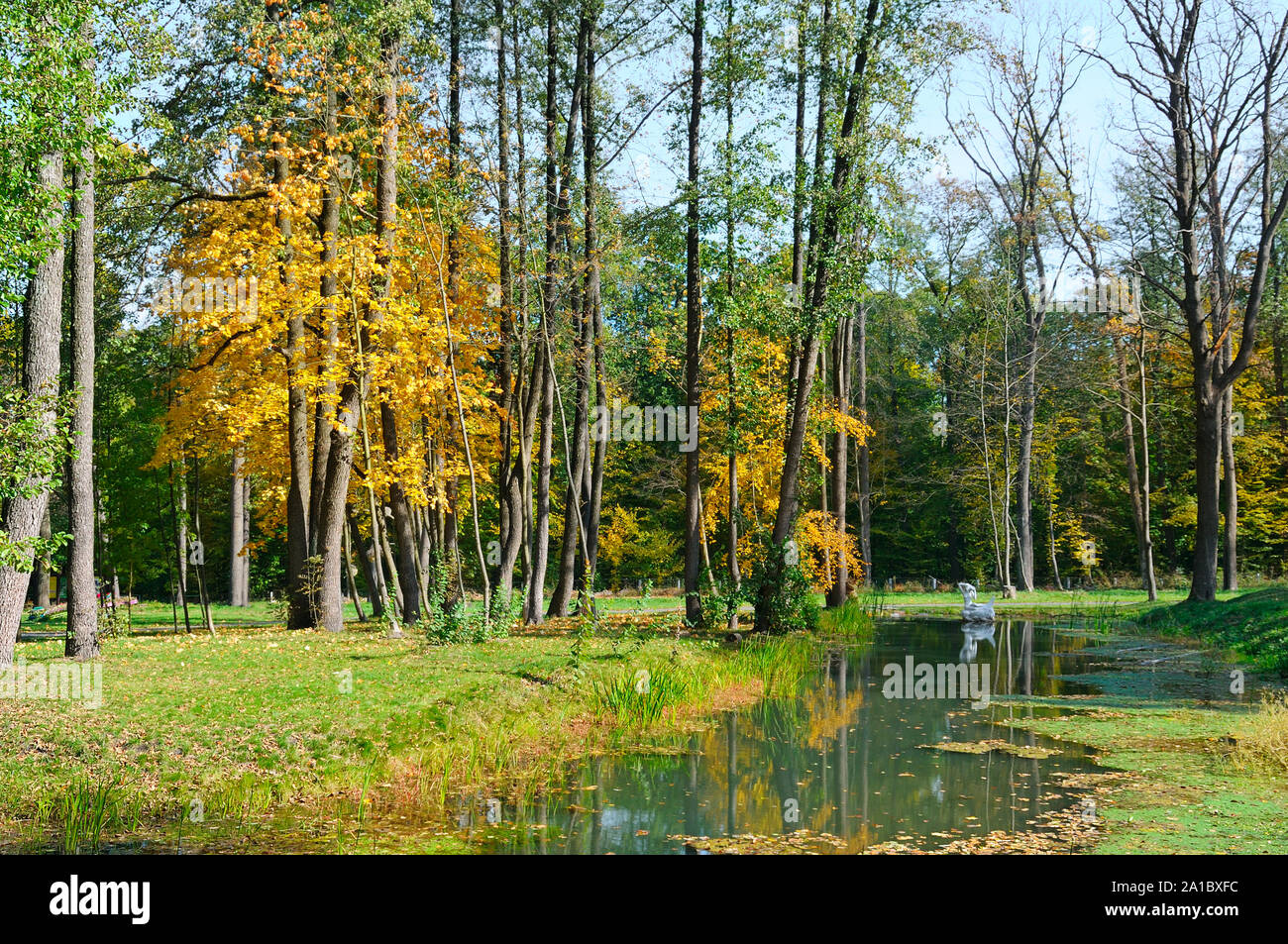 Scenic autumn landscape: park and ornamental lake Stock Photo - Alamy