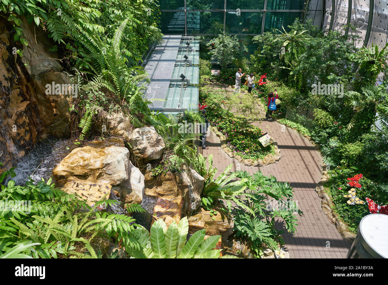 SINGAPORE - CIRCA APRIL, 2019: interior shot of Butterfly Garden in Changi International Airport. Stock Photo