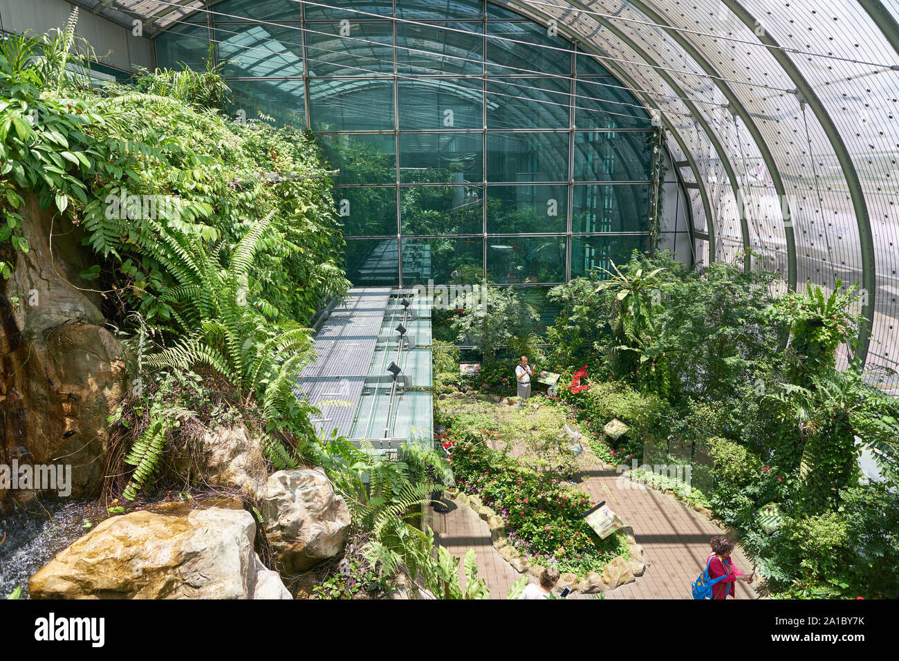 SINGAPORE - CIRCA APRIL, 2019: interior shot of Butterfly Garden in Changi International Airport. Stock Photo
