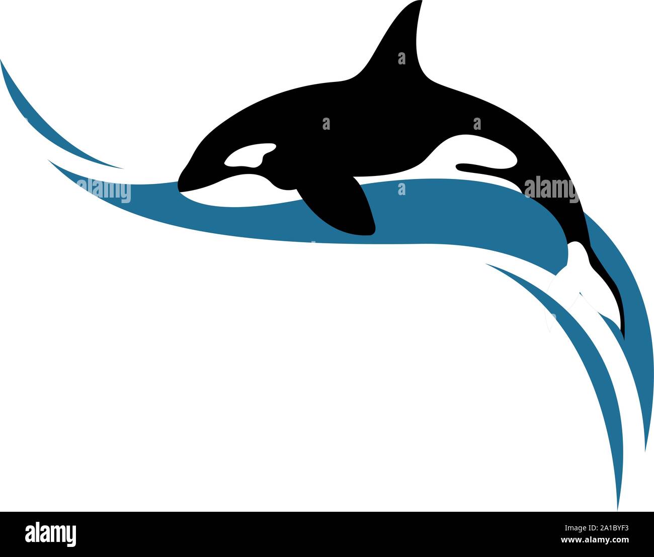 Killer whale, illustration, vector on white background Stock Vector ...