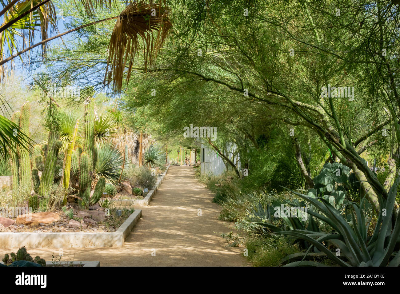 Springs preserve las vegas hires stock photography and images Alamy