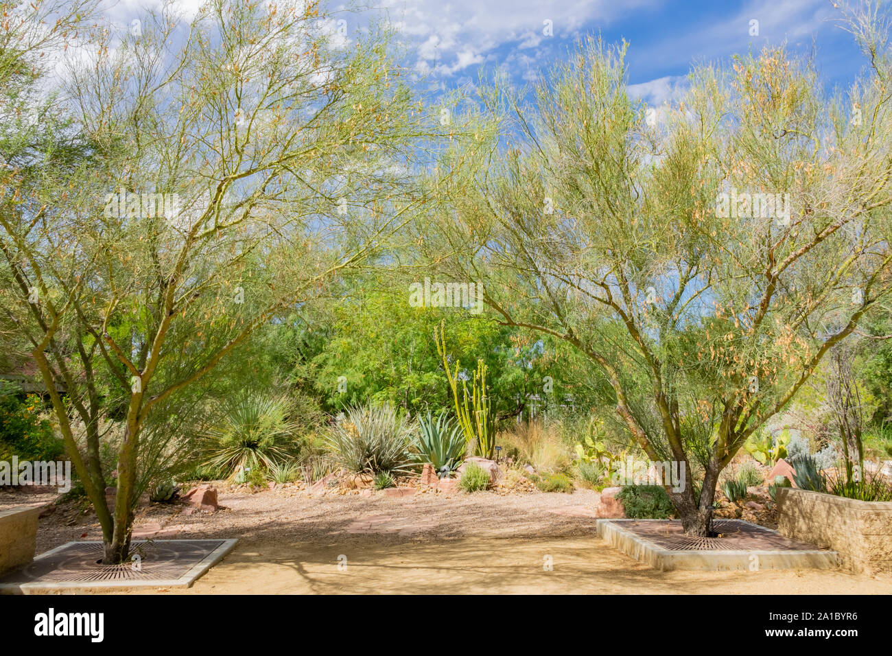 Botanical Garden of Springs Preserve at Las Vegas, Nevada Stock Photo