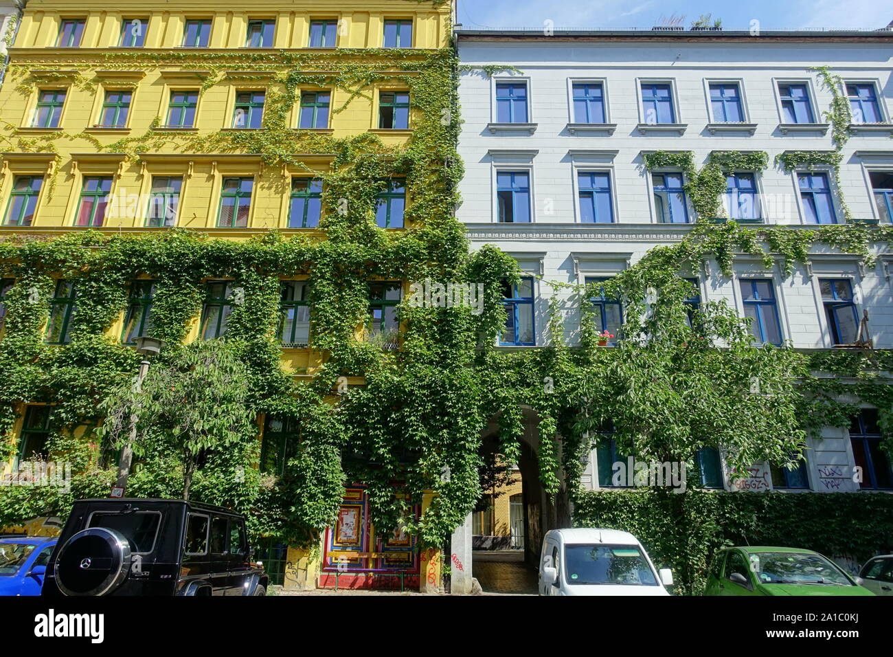 Berlin, begrünte Fassade an einem Wohnhaus im Kollwitzkiez Stock Photo