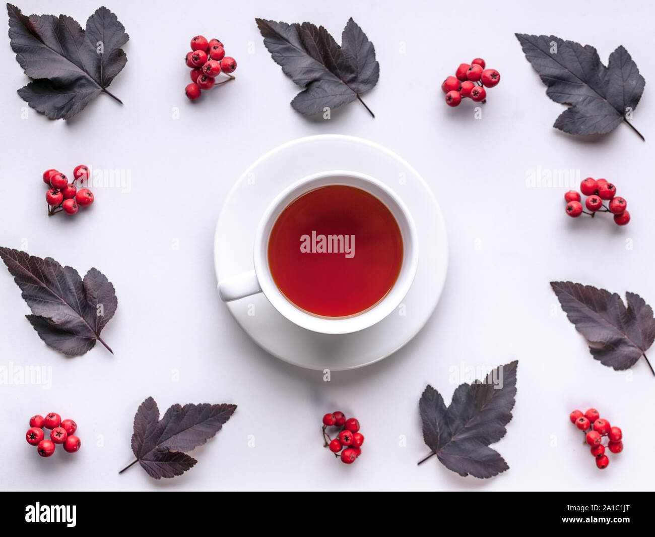Leaves and berries top view. Autumn composition. Red foliage, ceramic teacup and small fruits on white background. Fallen leaf and rowanbery flat lay. Stock Photo