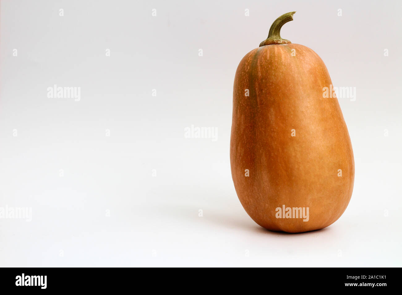 A pumpkin isolated on white background Stock Photo - Alamy