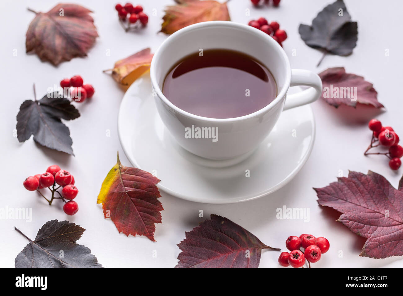 White Tea Mug, Leaves and berries. Autumn composition. Red foliage, ceramic teacup and small fruits on white background. Fallen leaf and rowanbery fla Stock Photo