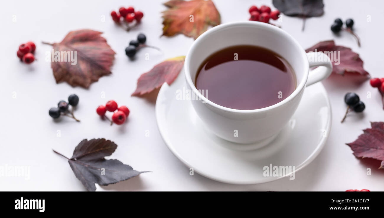 Banner: White Tea Mug, Leaves and berries. Autumn composition. Red foliage, ceramic teacup and small fruits on white background. Fallen leaf and rowan Stock Photo