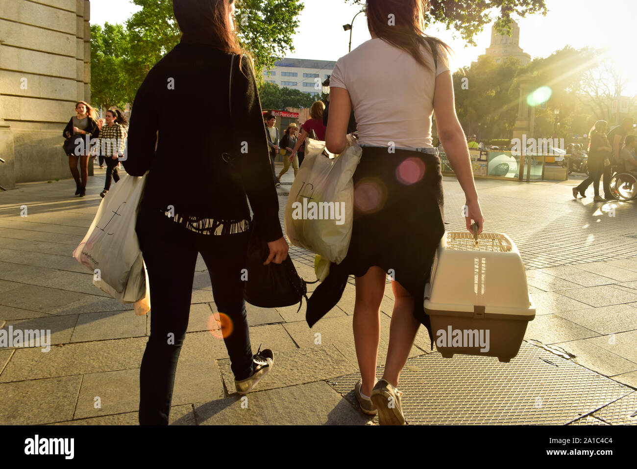 transport luggage from one city to another